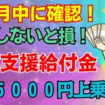 【知らないと大損】65歳から生涯年金に上乗せ支給！申請しないと受け取れない「年金生活者支援給付金」とは？対象者・申請方法をわかりやすく解説！