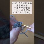 70歳からのズボラな年金生活（今回は雑所得の地獄）