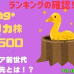 【Fang+アメリカ株・S&P500・新NISA】シニア前世代ランキング！変化はある？暴騰or暴落？10.05
