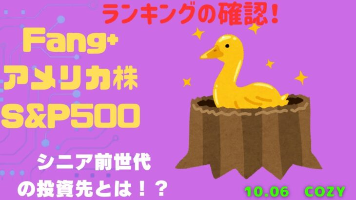 【Fang+アメリカ株・S&P500・新NISA】シニア前世代ランキング！変化はある？暴騰or暴落？10.05