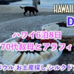 【Hawaii 2025/09 DAY4】シニア70代叔母とアラフィフの二人旅４日目！アサイボウル！シルクドソレイユ！ワイキキ・アラモアナ周辺お散策！！