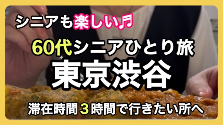 女一人旅/サクッと日帰りわがまま気まま行きたい所へ/ディズニーストア東京限定品/IKEA渋谷限定品/滞在時間３時間で/シニアライフ