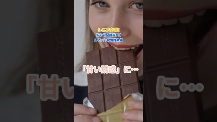【シニア必見！】注意！！孤独に優しく忍び寄る、SNSの甘い誘惑！／ネットは怖くない！SNS安心講座シリーズ#11【ロマンス・投資詐欺編】／#SNSロマンス詐欺 #SNS投資詐欺 #SNS安全安心講座