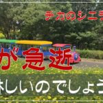 【夫が急逝】　夫が亡くなって私は不幸？　年金生活お一人様　シニアVlog　最高のプレゼントは「自由」