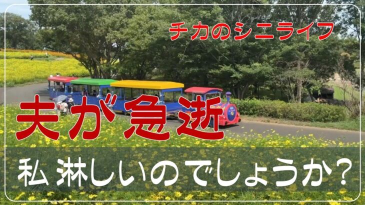 【夫が急逝】　夫が亡くなって私は不幸？　年金生活お一人様　シニアVlog　最高のプレゼントは「自由」