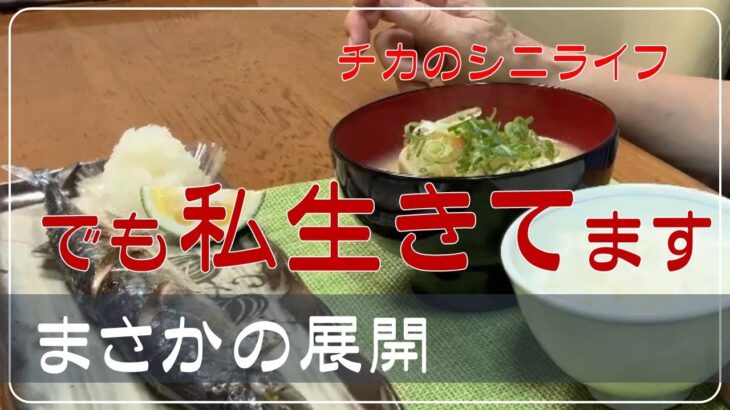 【まさかの展開】夫の急逝　お一人様になりました　年金生活　シニアVlog　それでも私は生きていく