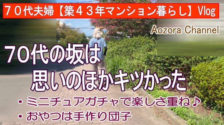 【年金生活】７０代夫婦 日々の記録Vlog ７０代の坂は思いのほかキツかった / ミニチュアガチャで楽しみ重ね / おやつは「手作り団子」/Japanese senior Vlog.