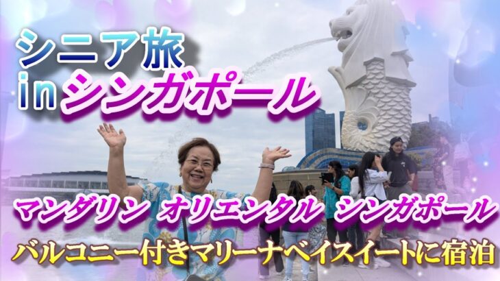 【シニア旅 in シンガポール】 青春の思い出を拾い集めてシンガポール　新婚旅行に来た時の事を思い出しながらゆっくり旅 6日間滞在