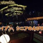kinchan slowlife in ホイアン、シニアのんびり旅