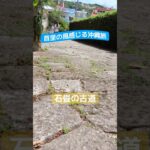 首里の風感じる沖縄旅🌺首里さんぽ&リゾート時間　#沖縄旅行 #首里 #パワースポット @rocorocowakuwaku