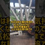 ばあちゃんのひとり旅#shorts #シニアライフ #旅行 #ルーティン