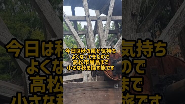 ばあちゃんのひとり旅#shorts #シニアライフ #旅行 #ルーティン
