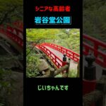 岩谷堂公園　散歩#shorts #じいちゃん #シニア #高齢者