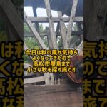 女ひとり旅 #シニアライフ #旅行 #ルーティン #shorts