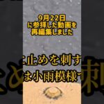 雨の日の善通寺参り/美味しいラーメン店発見 #旅行 #シニアライフ #shorts