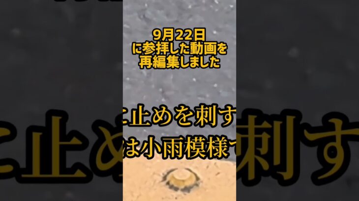 雨の日の善通寺参り/美味しいラーメン店発見 #旅行 #シニアライフ #shorts