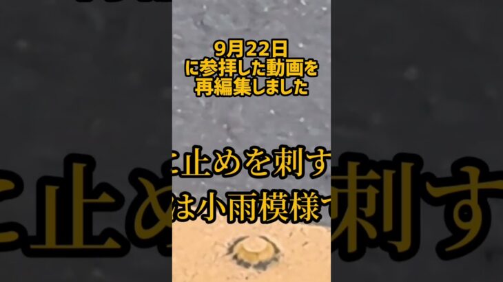 善通寺参りで、であったラーメン店 #シニアライフ #旅行 #ルーティン #shorts