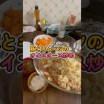 【姉と妹 シニア飯】豚とキャベツのオイスターソース炒め｜妹の日光東照宮と東京へ行ってきた感想付き(^^;
