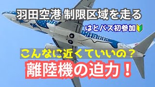 羽田空港の制限エリアを走る、はとバスツアーにひとり参加！