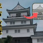 【シニア夫婦のおでかけ】佐世保バーガーを食し、平戸を巡る。平戸城は予想外に楽しかった！#観光 #佐世保バーガー #平戸城
