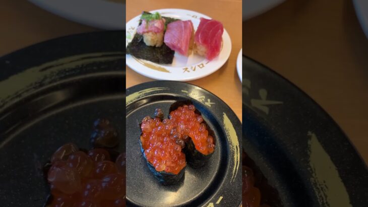 アボガド　エビ　マグロセット　ホタテ#回転寿司 #スシロー #ランチ　#シニア割