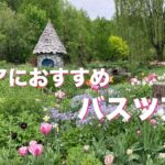 【シニアライフ】リピーターがお届けするバスツアーの魅力。四万十川、桂浜、元乃隅神社、角島大橋、錦帯橋、能登、海地獄、高千穂峡、南紀白浜、北海道ガーデン巡り、大内宿、日光…の絶景をお楽しみください💕