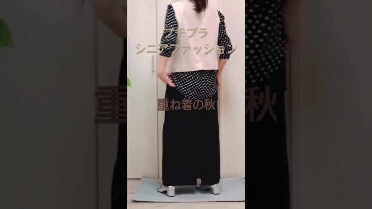プチプラで重ね着楽しむ秋