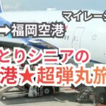 羽田~福岡空港★超弾丸日帰りひとり旅/空港最新グルメとおみやげめぐり