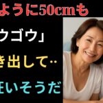 【シニア恋愛】 裏切った夫を忘れるために旅行に出た私に、思いもしない出会いが待っていた。  【熟年恋愛】