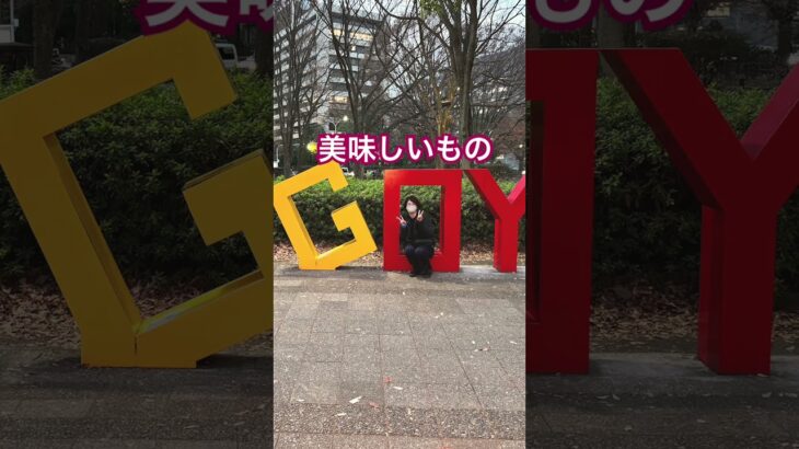 ♯旅行　♯日本🇯🇵
