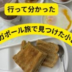 シニア目線で発見！シンガポール旅行をもっと快適にするヒント