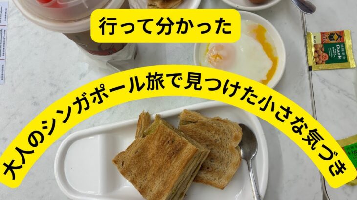 シニア目線で発見！シンガポール旅行をもっと快適にするヒント