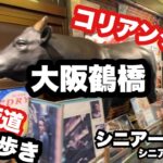 大阪鶴橋、#コリアンタウン、焼肉食べ歩き、#シニア一人旅、#シニアルーティーン