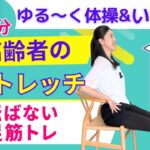 【高齢者向け 介護体操】転倒予防・足トレーニング・足体操・椅子ヨガ・フレイル予防・介護予防・介護レク・チェアヨガ・シニアヨガ / アーナンダヨガ