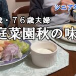 【yuuの家事ライフ】シニア年金生活、７９歳７６歳夫婦、家庭菜園秋の味覚