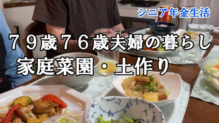 【yuuの家事ライフ】シニア年金生活、７９歳７６歳夫婦の暮らし、家庭菜園土つくり