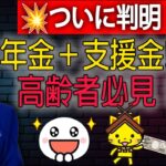 【注意】高齢者必見！｜11月の特別支援金＆年金受取に重大変更⚠️