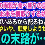 【スカッとする話・年金シニア生活】米農家の実家両親が、息子のためにくれたお米を横取りする義母「お友達に配るわよ♪」ドケチ夫「転売しようぜｗ」→義父の仕掛けた罠にまんまとハマった2人の末路がｗ