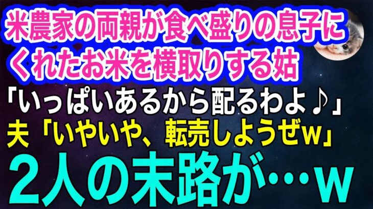 【スカッとする話・年金シニア生活】米農家の実家両親が、息子のためにくれたお米を横取りする義母「お友達に配るわよ♪」ドケチ夫「転売しようぜｗ」→義父の仕掛けた罠にまんまとハマった2人の末路がｗ