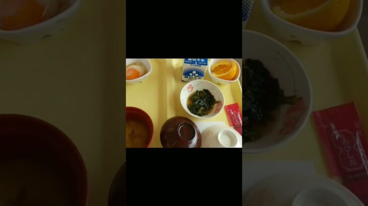 シニアぼっちの病院グルメめし紹介、朝食メニューフルーツはオレンジ🍊。2033,6,23