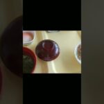 シニアぼっちの病院グルメめし紹介、朝食メニューフルーツはオレンジ🍊。2,23,6,16