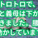 【シニア恋愛】56歳美容師の運命的恋愛「濡れた指先が教えてくれたこと」人生後半の幸せ発見【高齢者 恋愛】