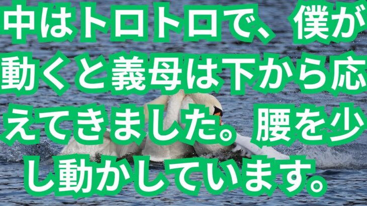 【シニア恋愛】56歳美容師の運命的恋愛「濡れた指先が教えてくれたこと」人生後半の幸せ発見【高齢者 恋愛】