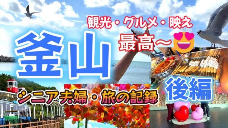 【釜山・シニア夫婦旅 後編】海辺列車/スカイカプセル/海東龍宮寺/BUSAN X the SKY/韓国おでん/ミルミョン/wowpassカード/韓国で使ったアプリ