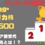 【Fang+アメリカ株・S&P500・新NISA】シニア前世代ランキング！変化はある？暴騰or暴落？11.10
