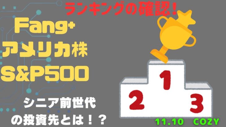 【Fang+アメリカ株・S&P500・新NISA】シニア前世代ランキング！変化はある？暴騰or暴落？11.10