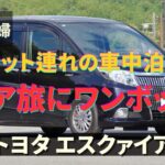 【シニア旅にはワンボックス】ペット連れの車中泊もOK！ 燃費もいいハイブリッドトヨタ エスクァイアを選びました｜旅好夫婦 No.107