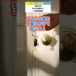 【シニア必見！】『二段階認証』してる～？鍵を二重にかけて安心してスマホ・PCを楽しもう！／ネットは怖くない！SNS安心講座シリーズ#17【二段階認証編】／ #SNS安心安全講座 #SNS二段階認証