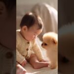 かわいい赤ちゃんと子犬のラブラブ #shors