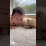 かわいい赤ちゃんと子犬のラブラブ #shors